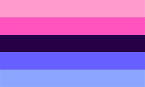 omni sexuality flag|Pride Flag Guide: Omnisexual 